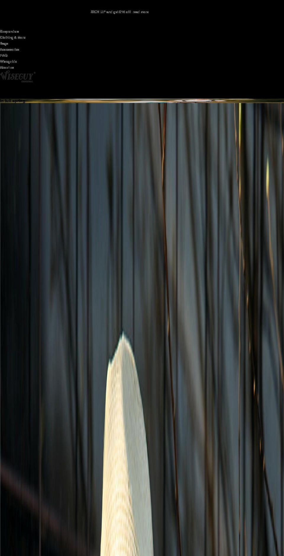 wiseguysuspenders.com shopify website screenshot