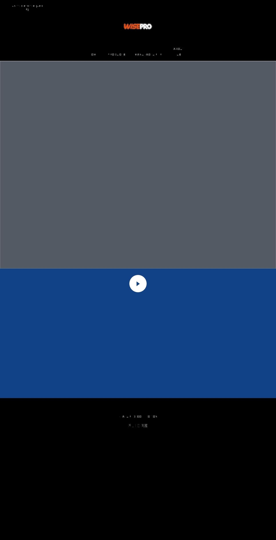 wisepro.org shopify website screenshot