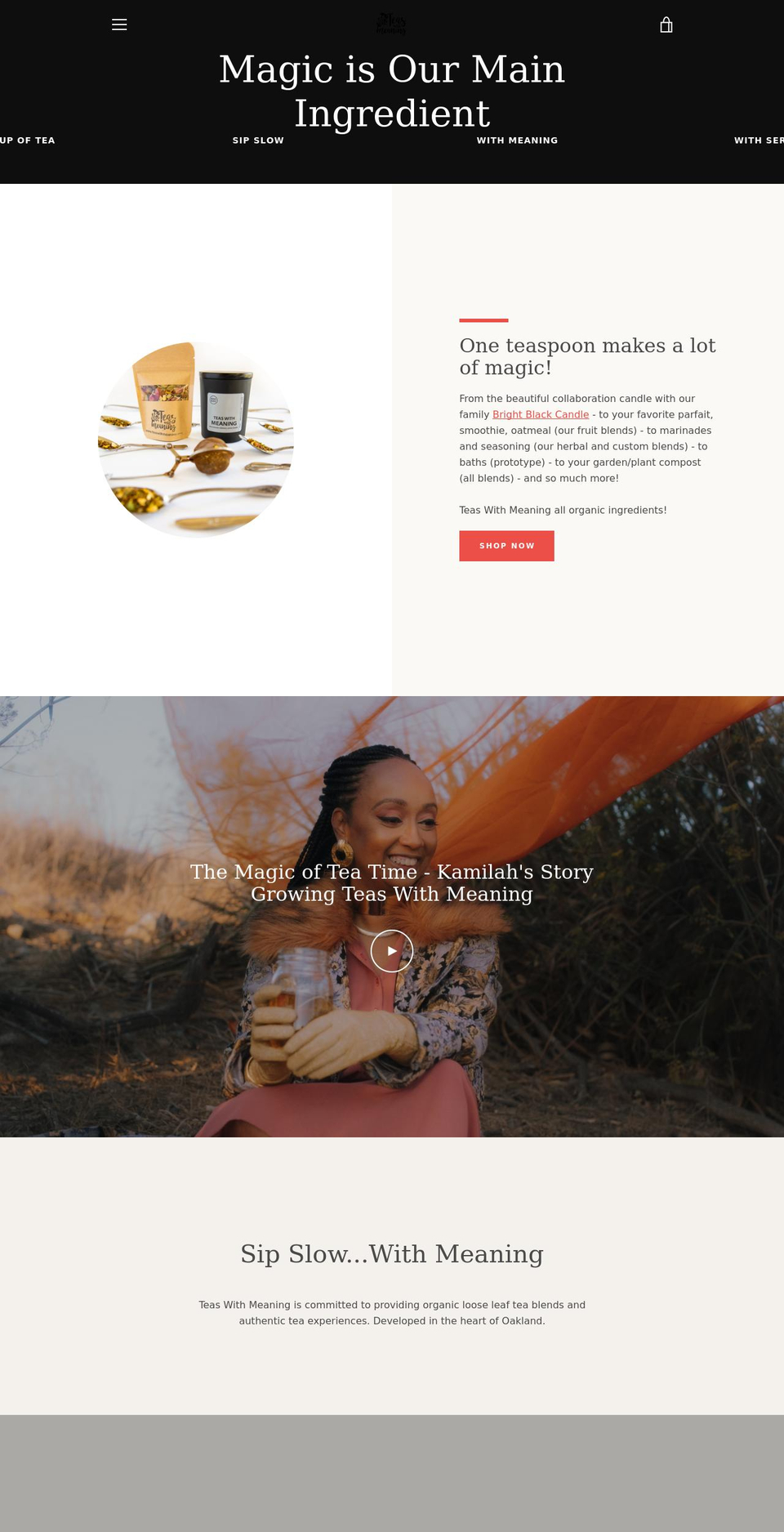 withmeaning.org shopify website screenshot