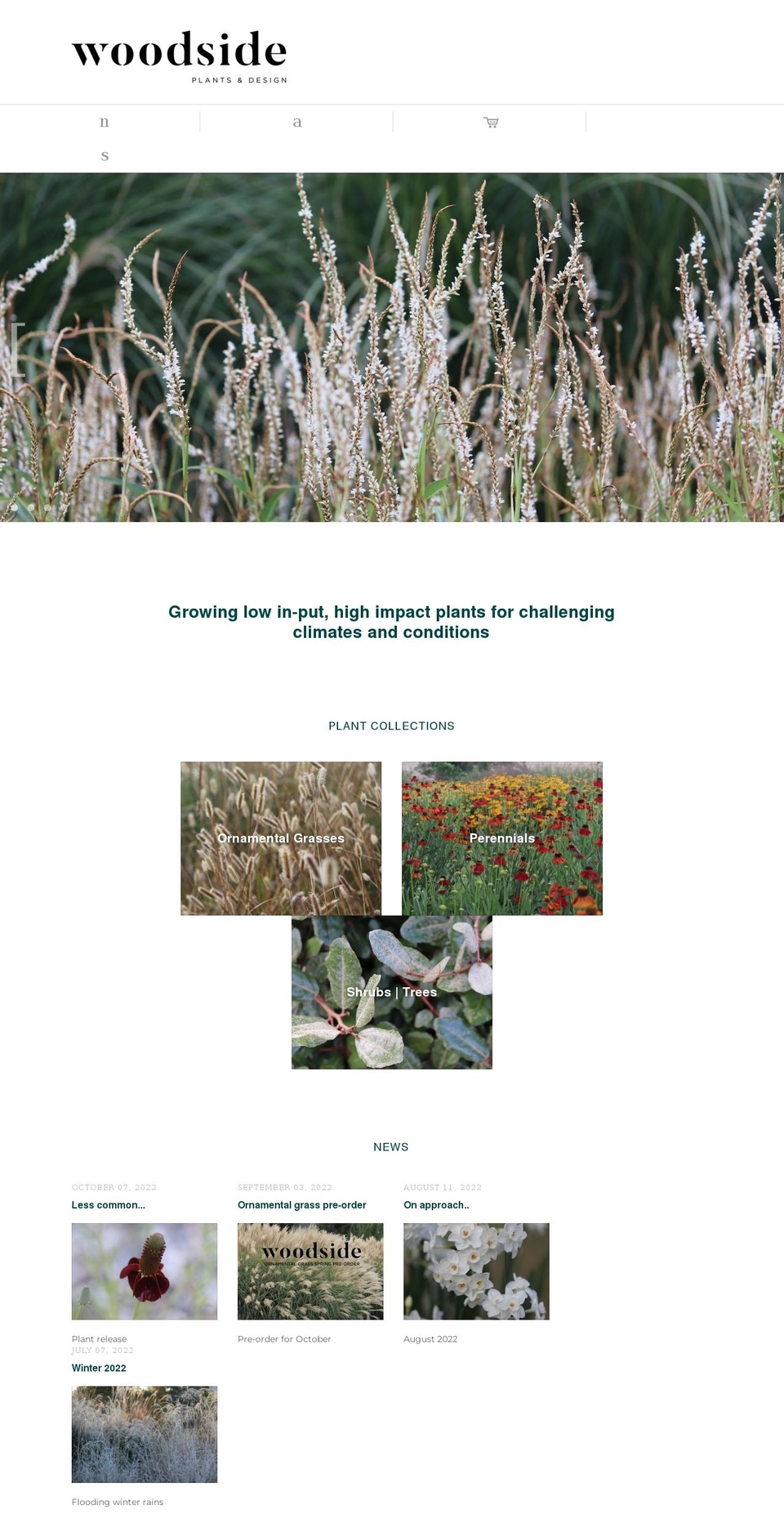 woodsideplantsanddesign.com.au shopify website screenshot
