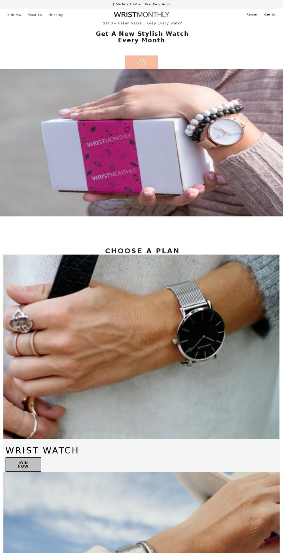 wristmonthly.com shopify website screenshot