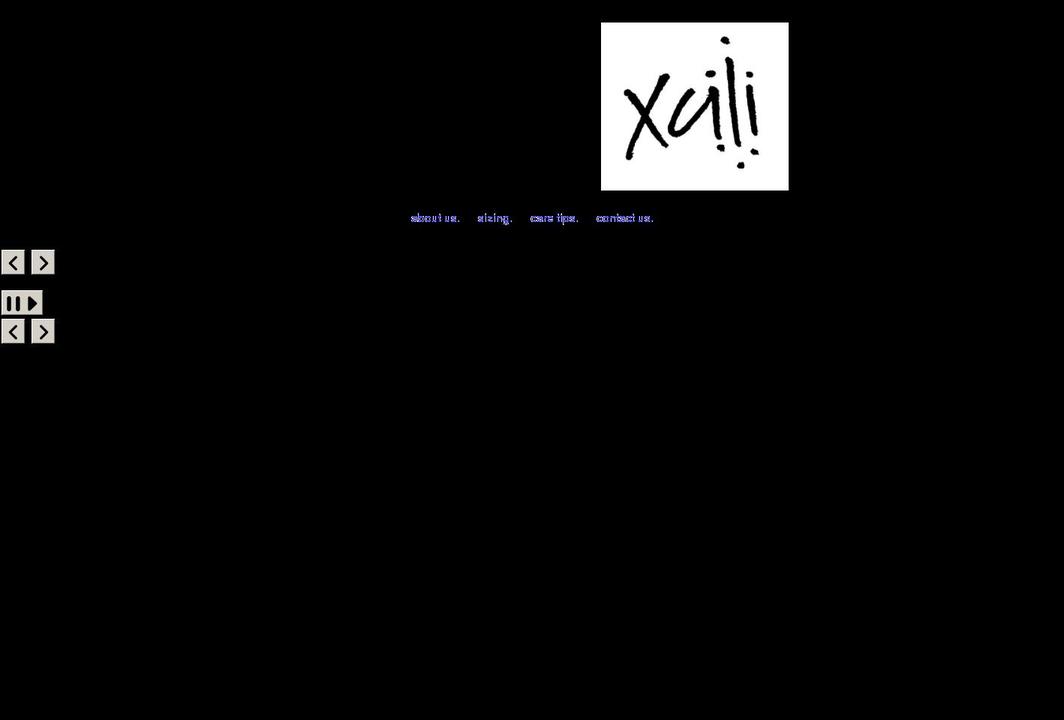 xciiisp.com shopify website screenshot