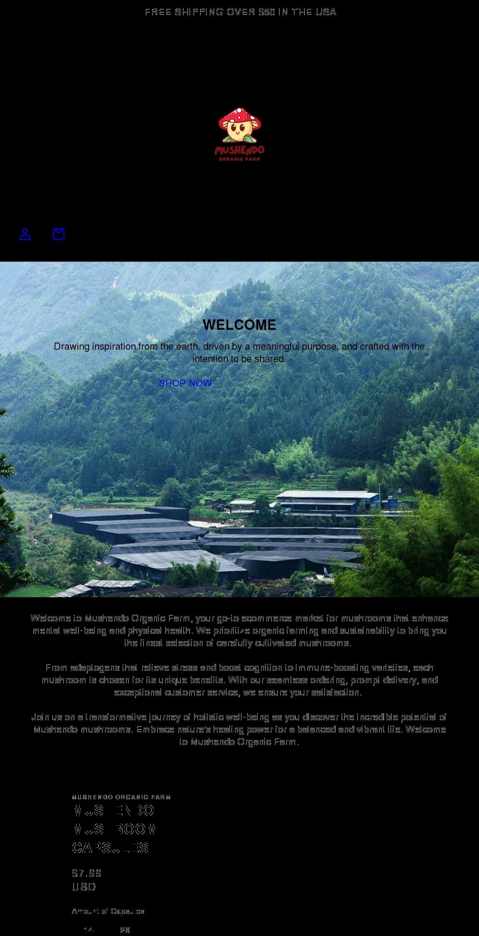 xorags.com shopify website screenshot