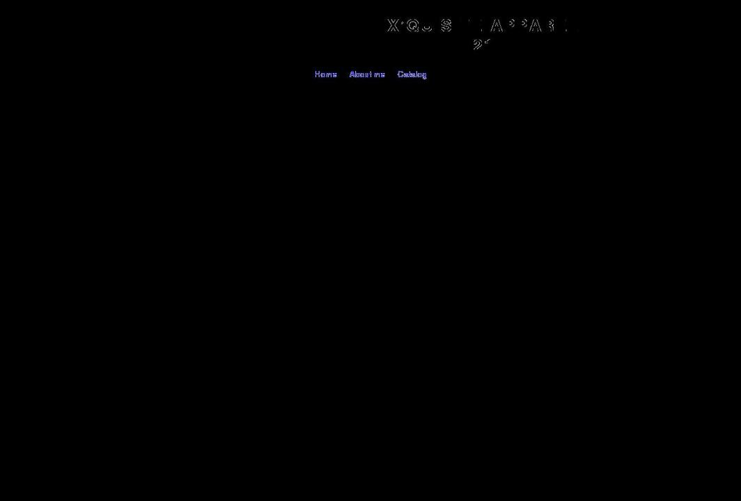 xquisiteapparel.com shopify website screenshot