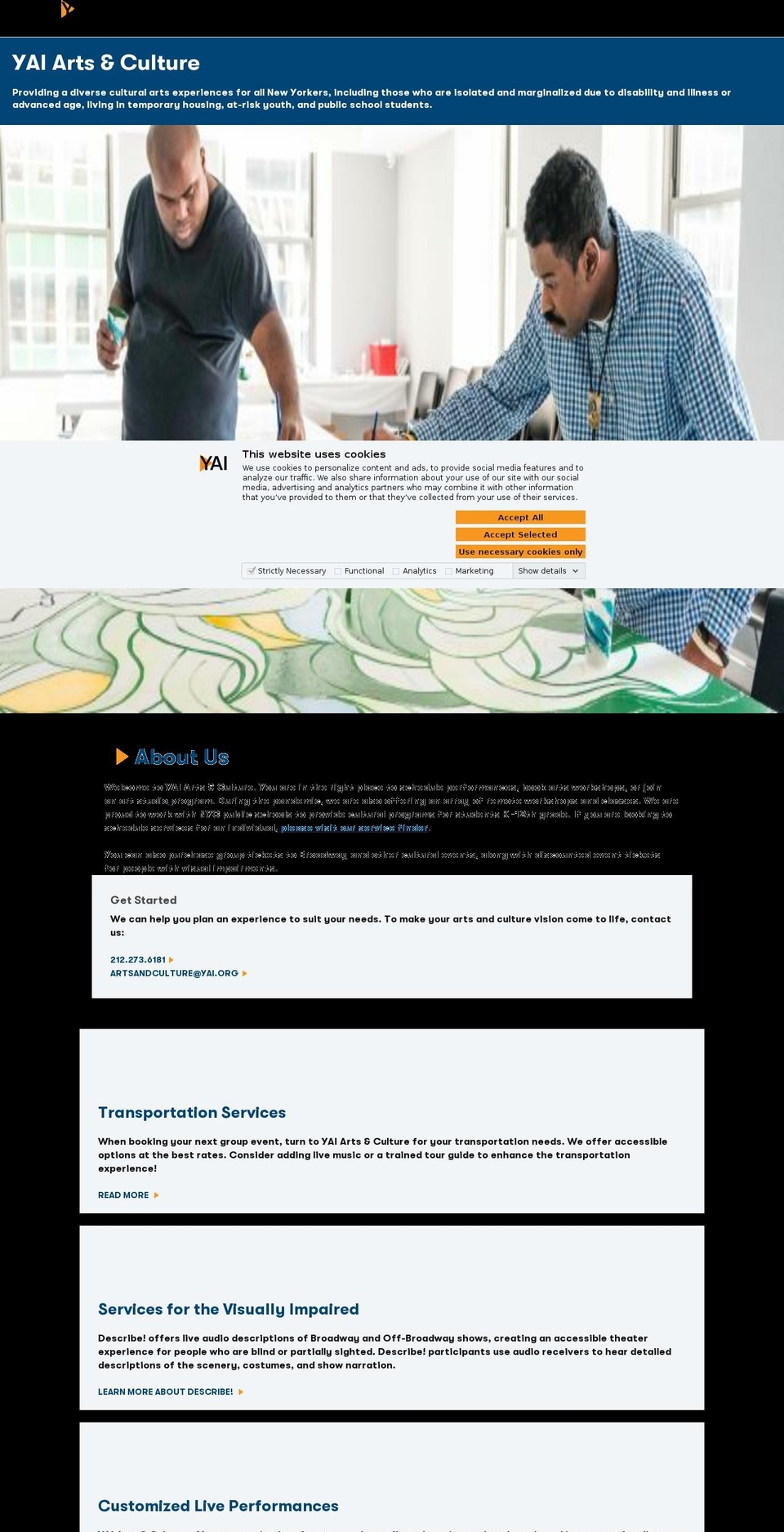 yaiartsandculture.org shopify website screenshot