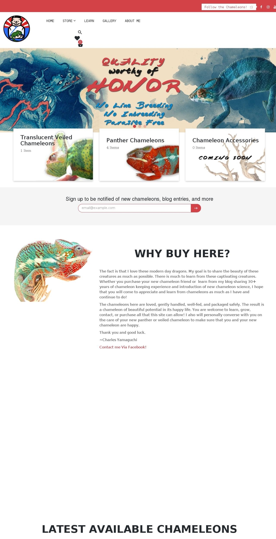 yamachams.com shopify website screenshot