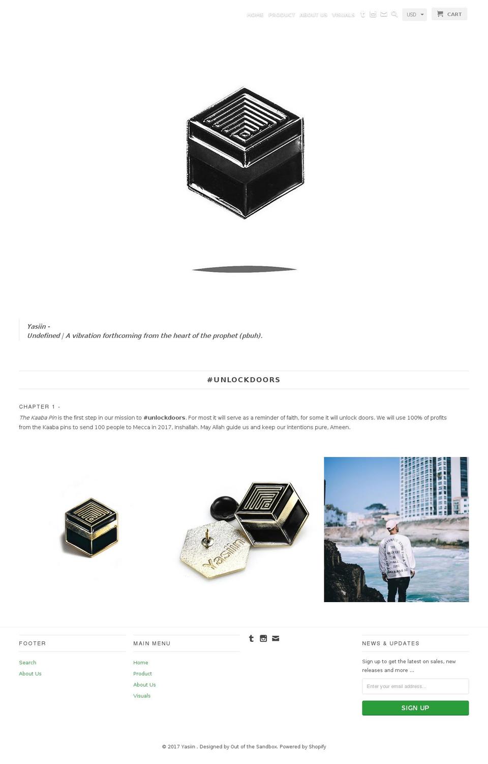 Vision Shopify theme site example yasiinvision.com