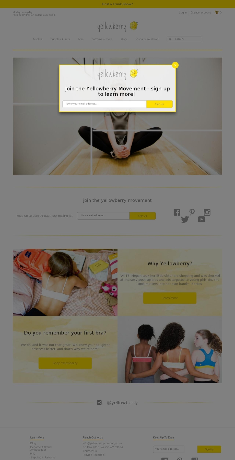 yellowberrycompany.com shopify website screenshot