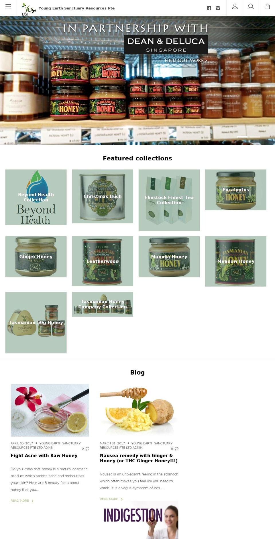 yesanctuary.com shopify website screenshot