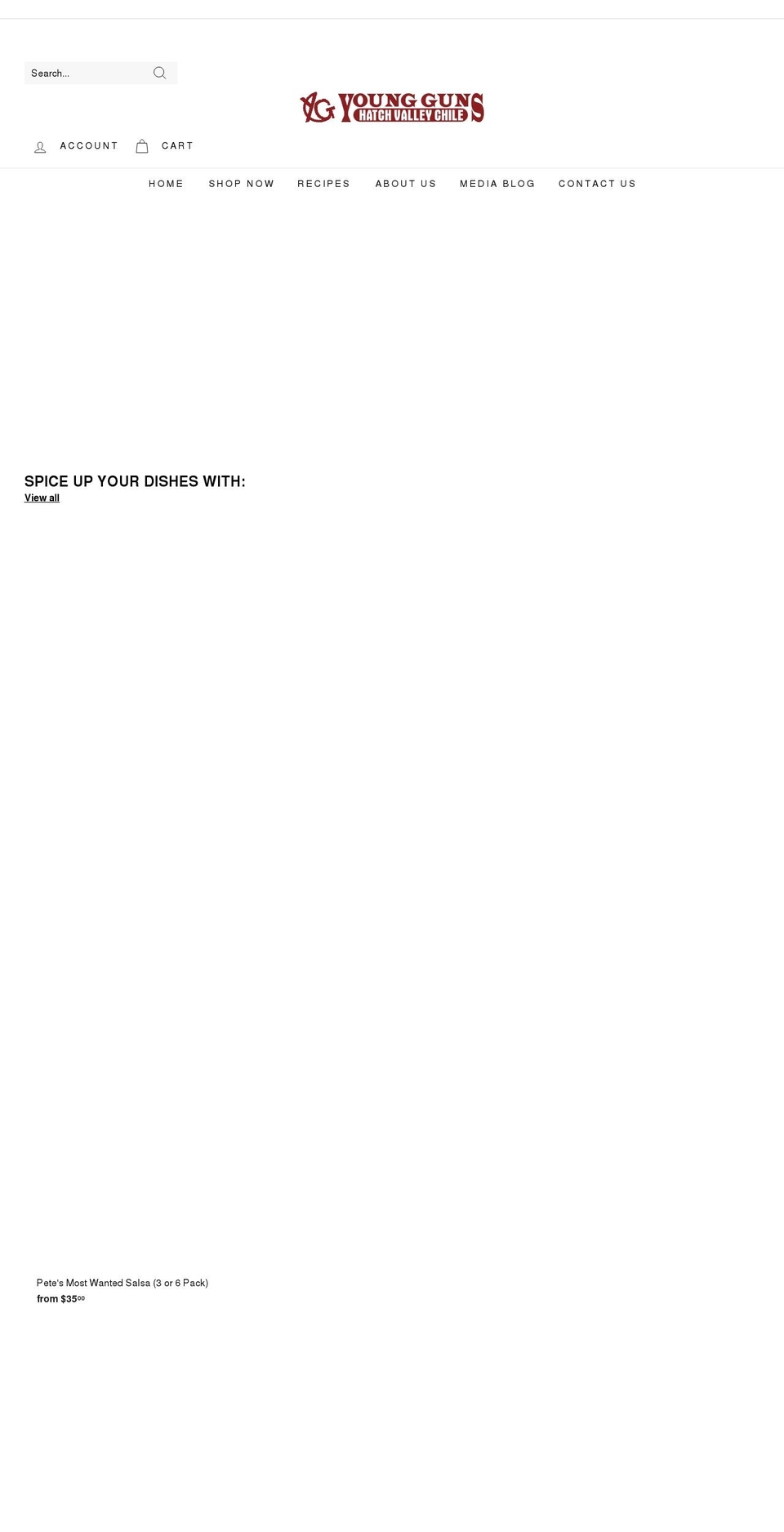yghatchchile.com shopify website screenshot