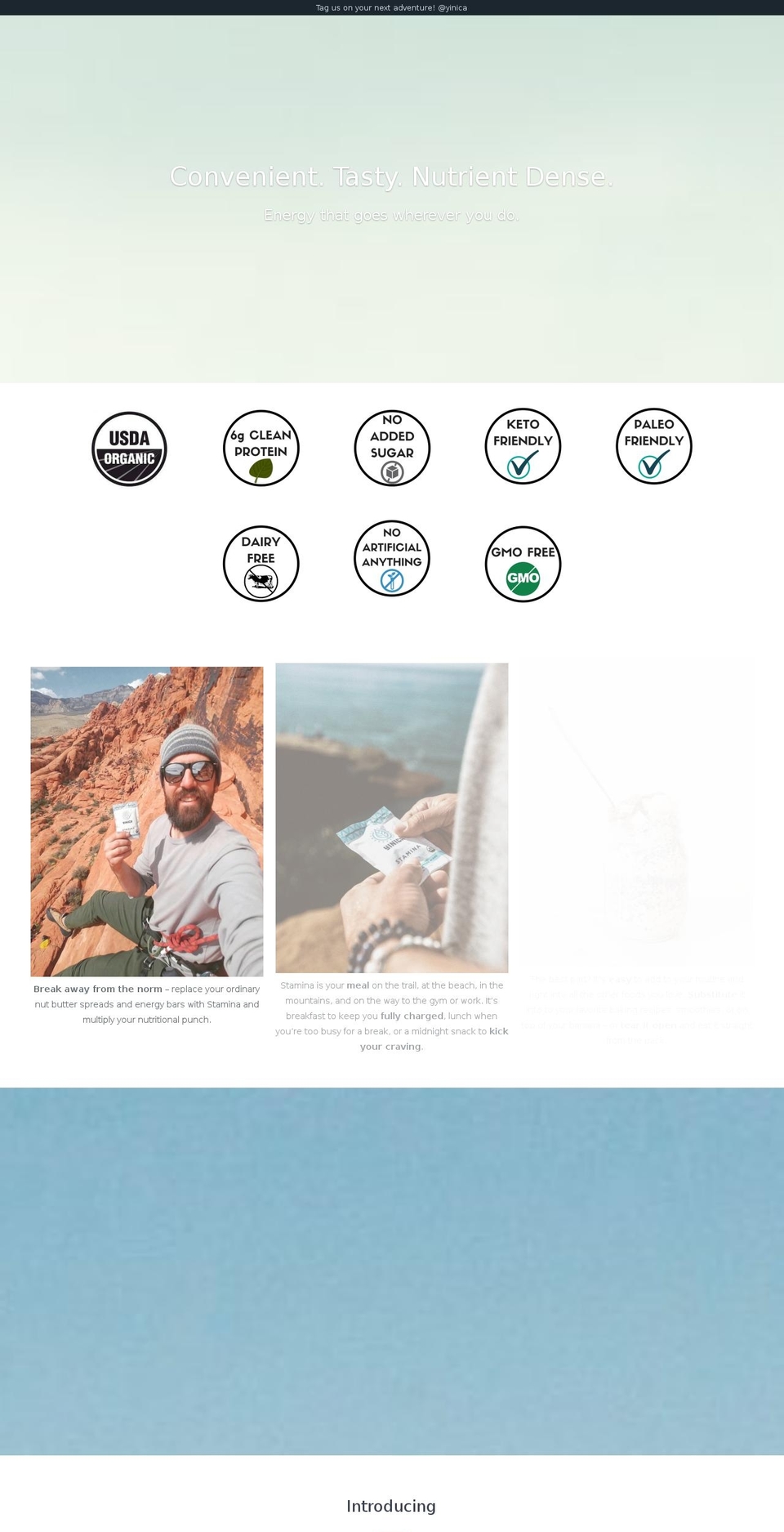 yinica.com — Shopify storefront screenshot
