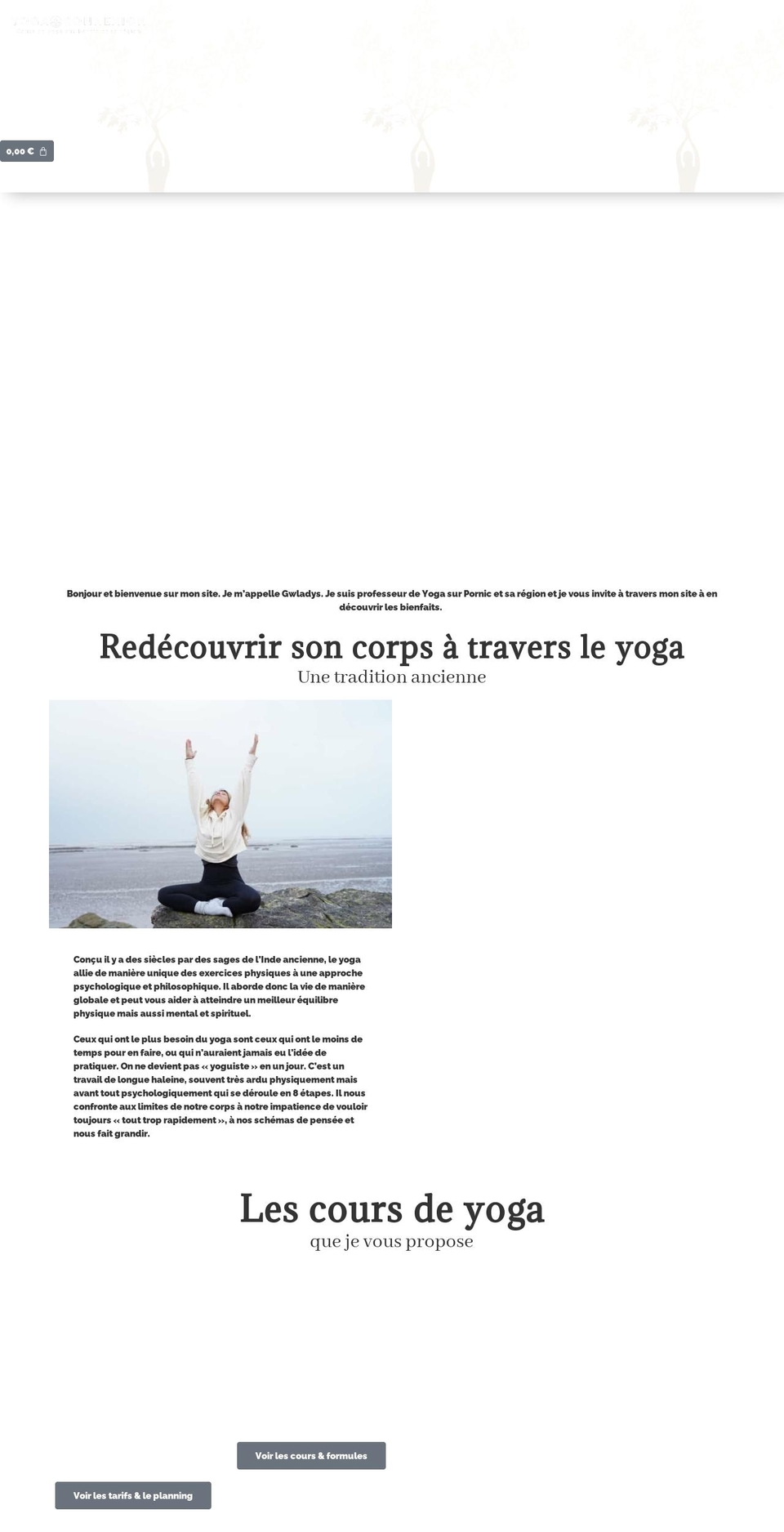 fastlane-1-76-active Shopify theme site example yoga-connexion.com