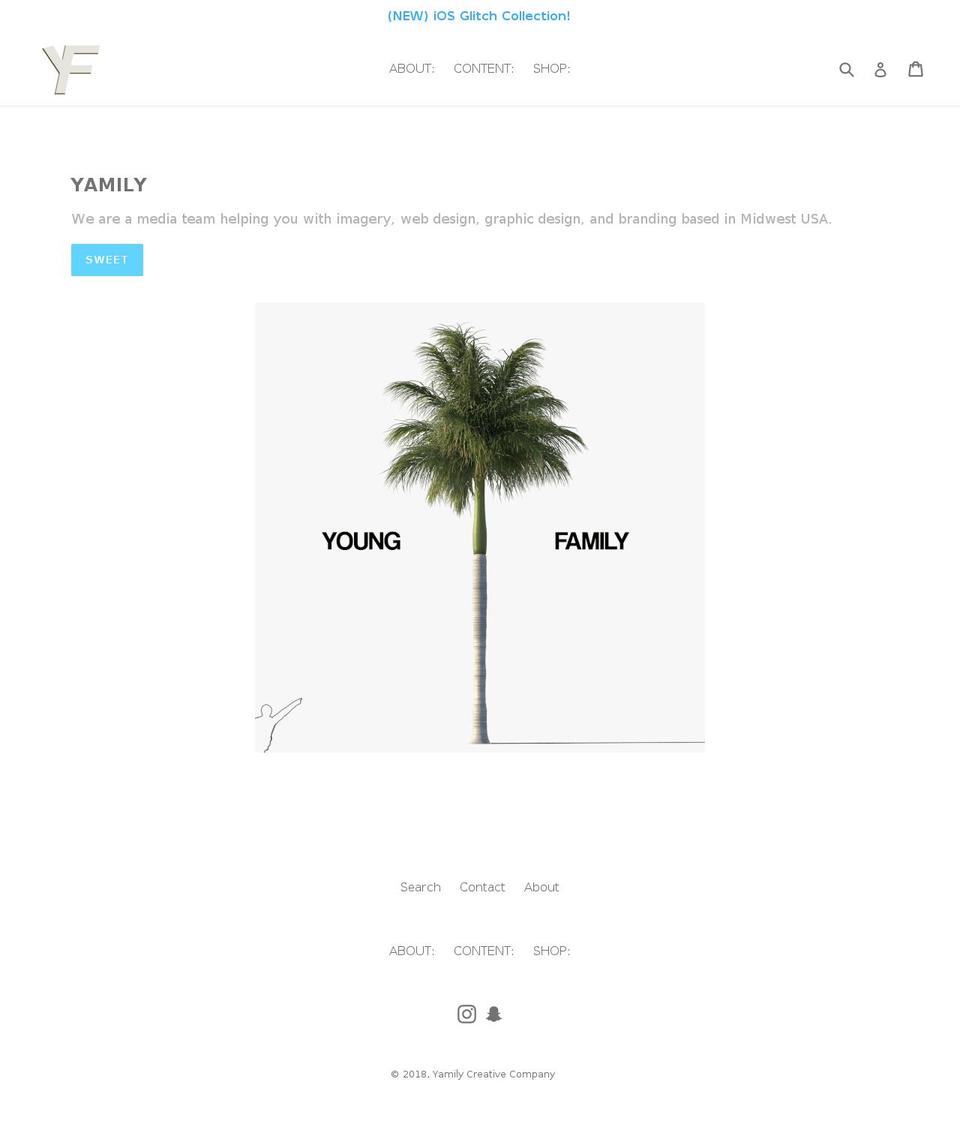 youngfamily.co shopify website screenshot