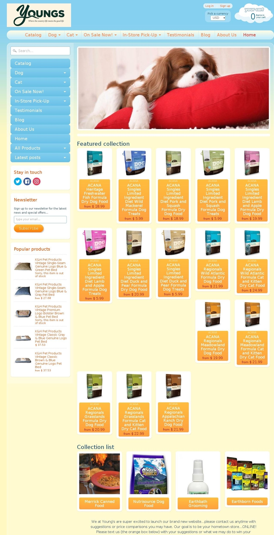 youngsgeneral.com shopify website screenshot
