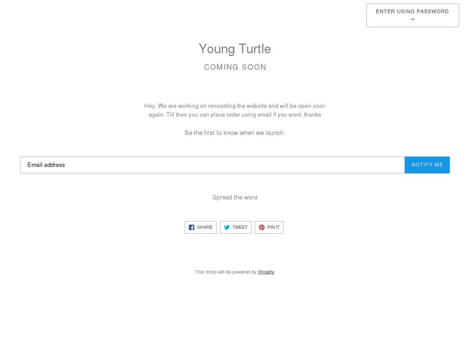 youngturtle.com — Shopify storefront screenshot