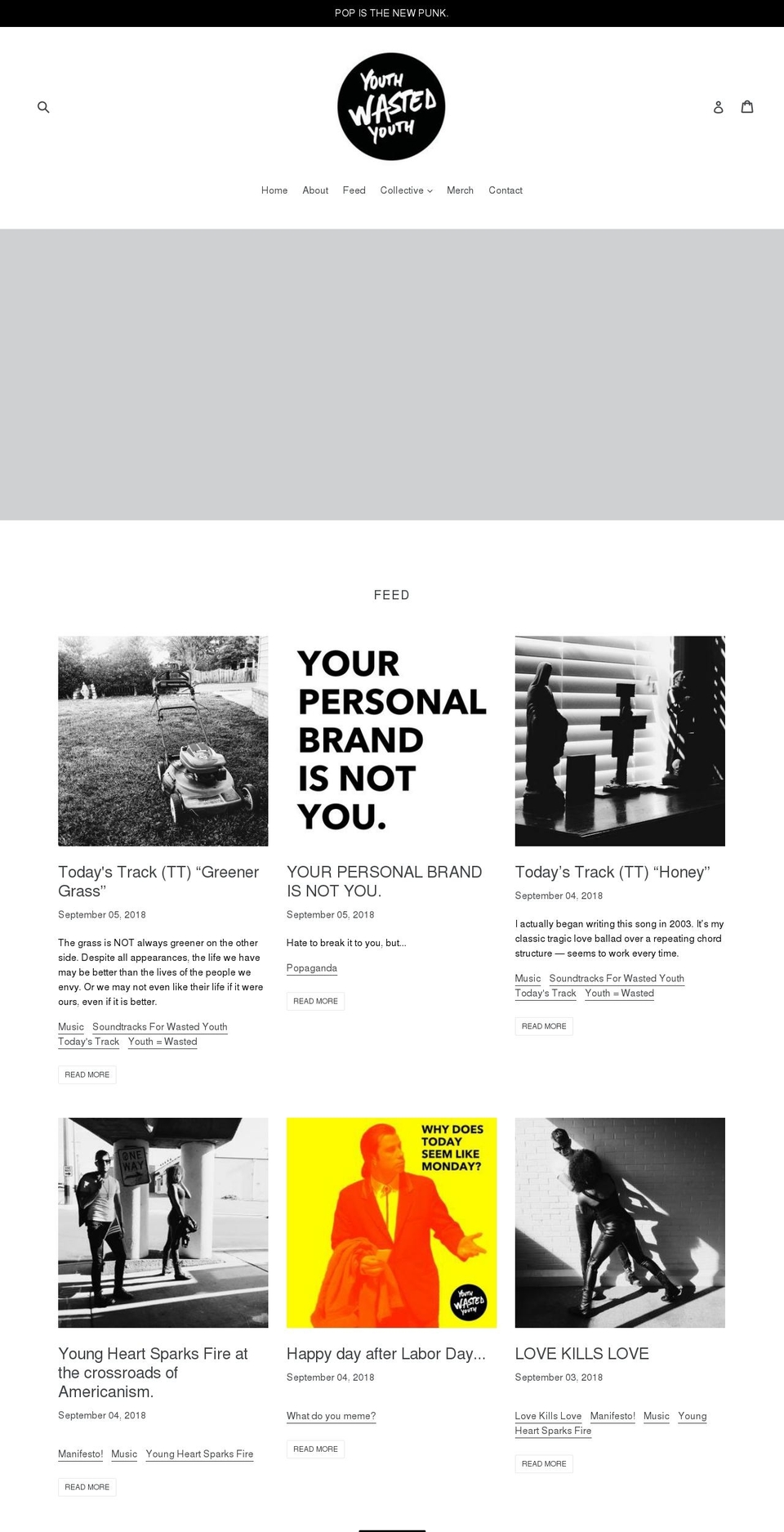 youthwastedyouth.com shopify website screenshot