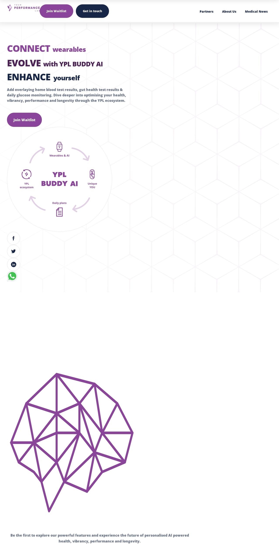 yplabs.com shopify website screenshot