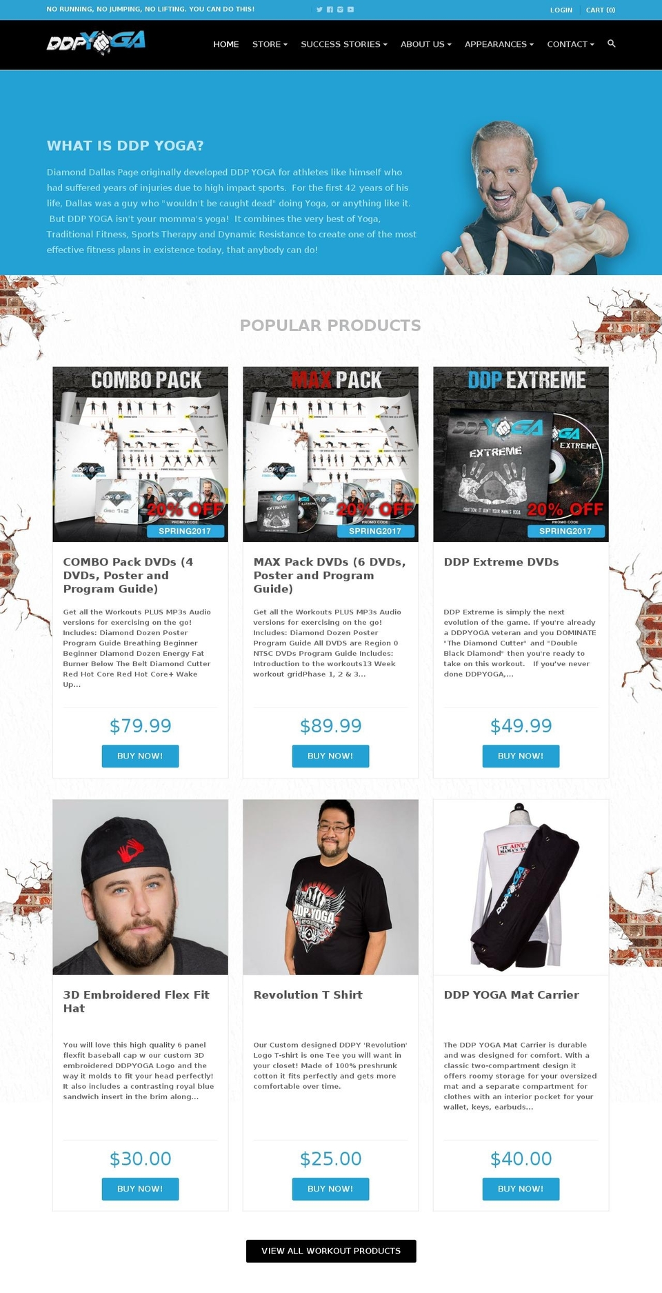 DDP Theme - v.02 (Stef's Version) Shopify theme site example yrgworkout.com