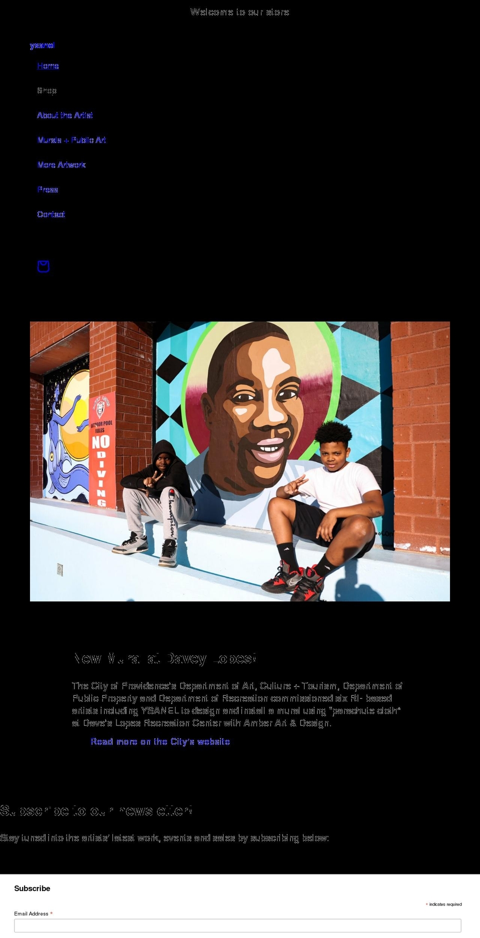 ysanel.com shopify website screenshot
