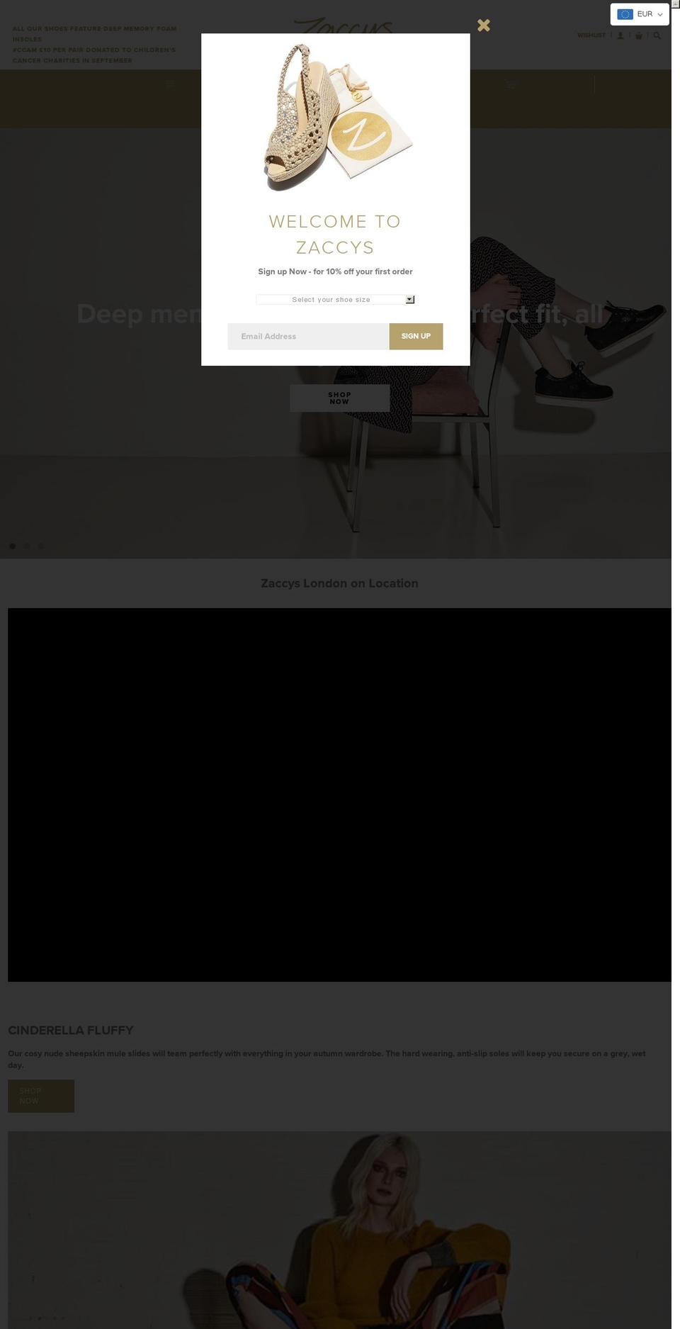 zaccees.com — Shopify storefront screenshot