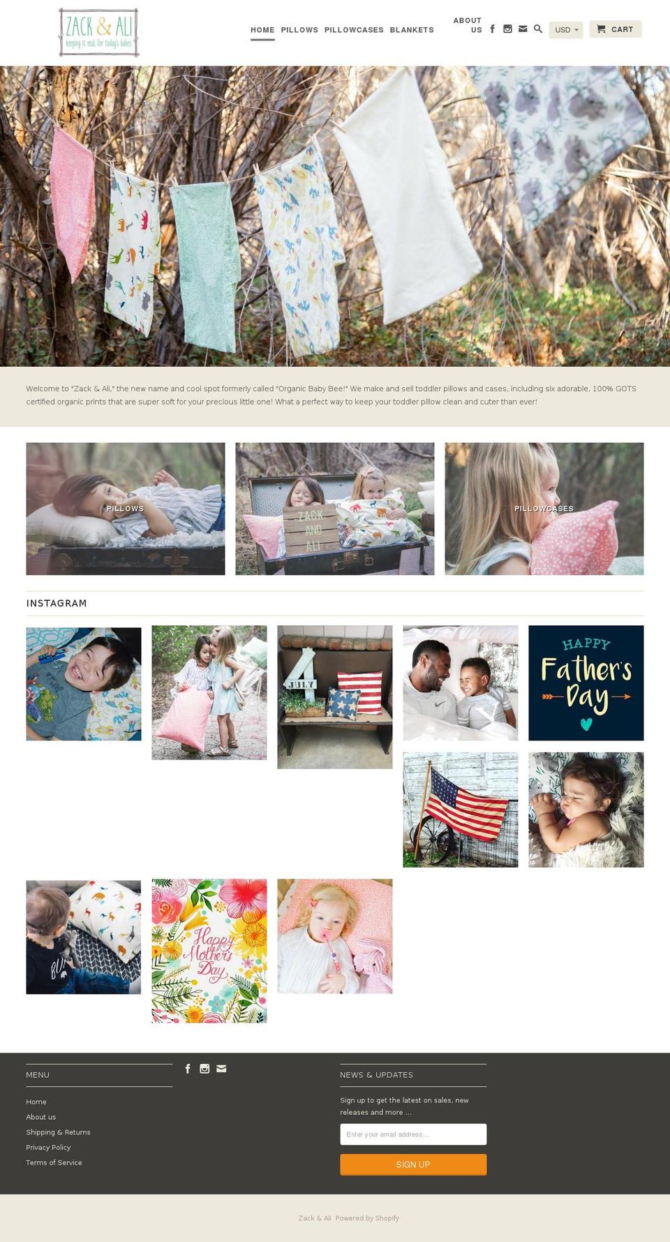 zackandali.com shopify website screenshot