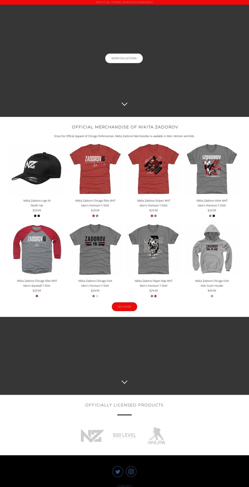 zadorov16.com shopify website screenshot