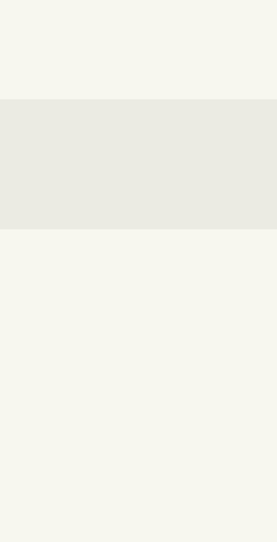 zairisn.com shopify website screenshot