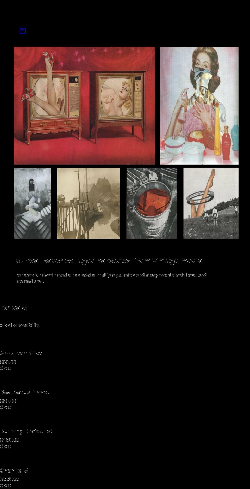 zanahoy.com shopify website screenshot