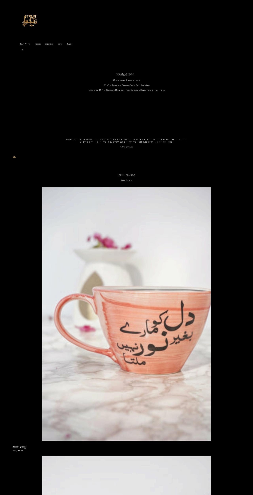 zanjabeelbookstore.com shopify website screenshot