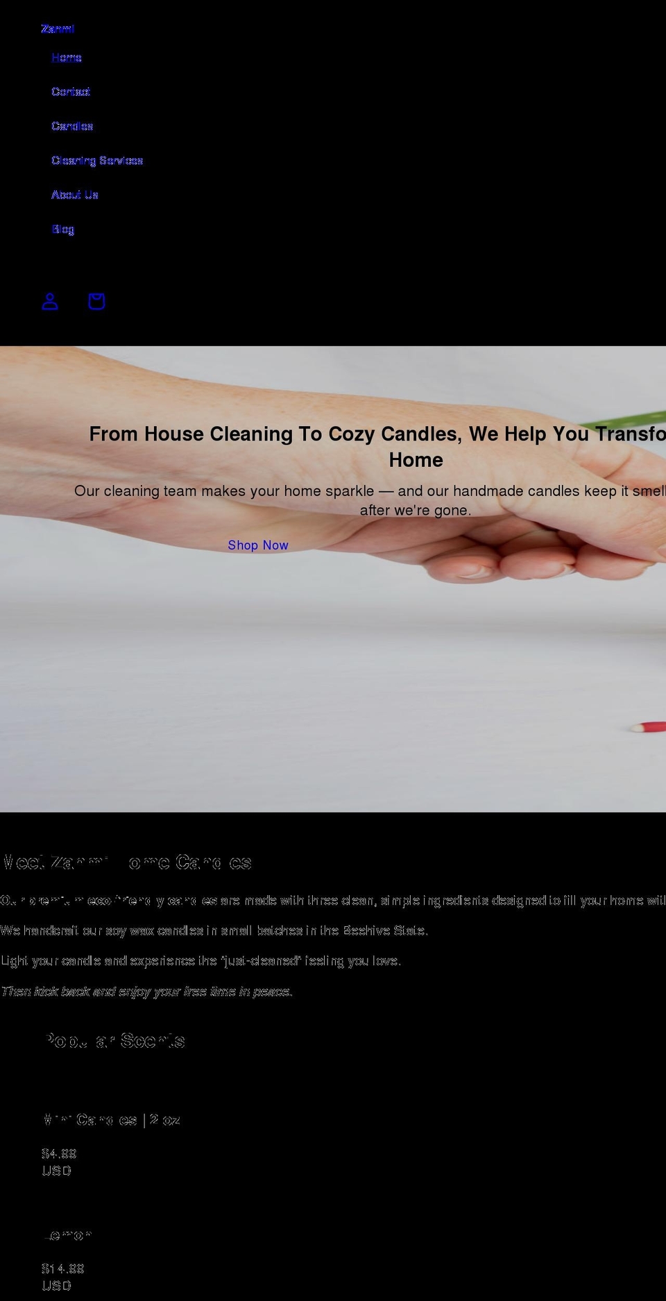 zanmiservices.com shopify website screenshot