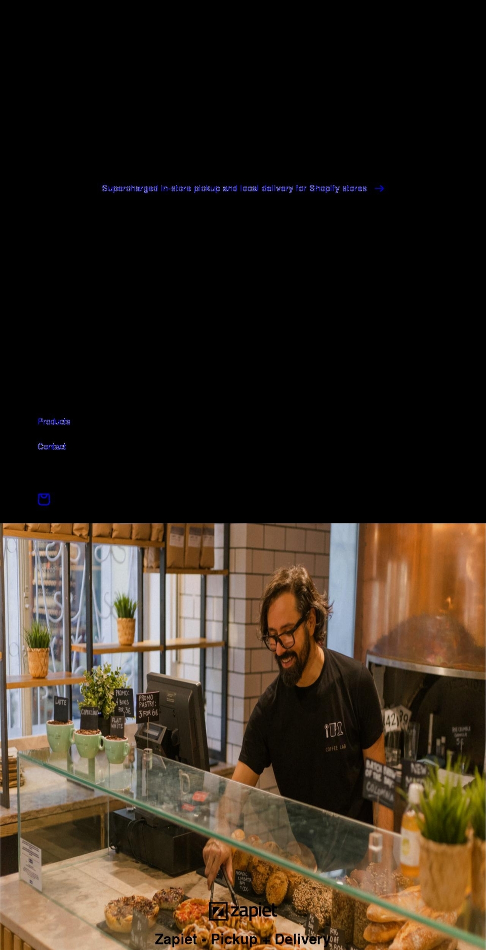 zapietdemo.myshopify.com shopify website screenshot