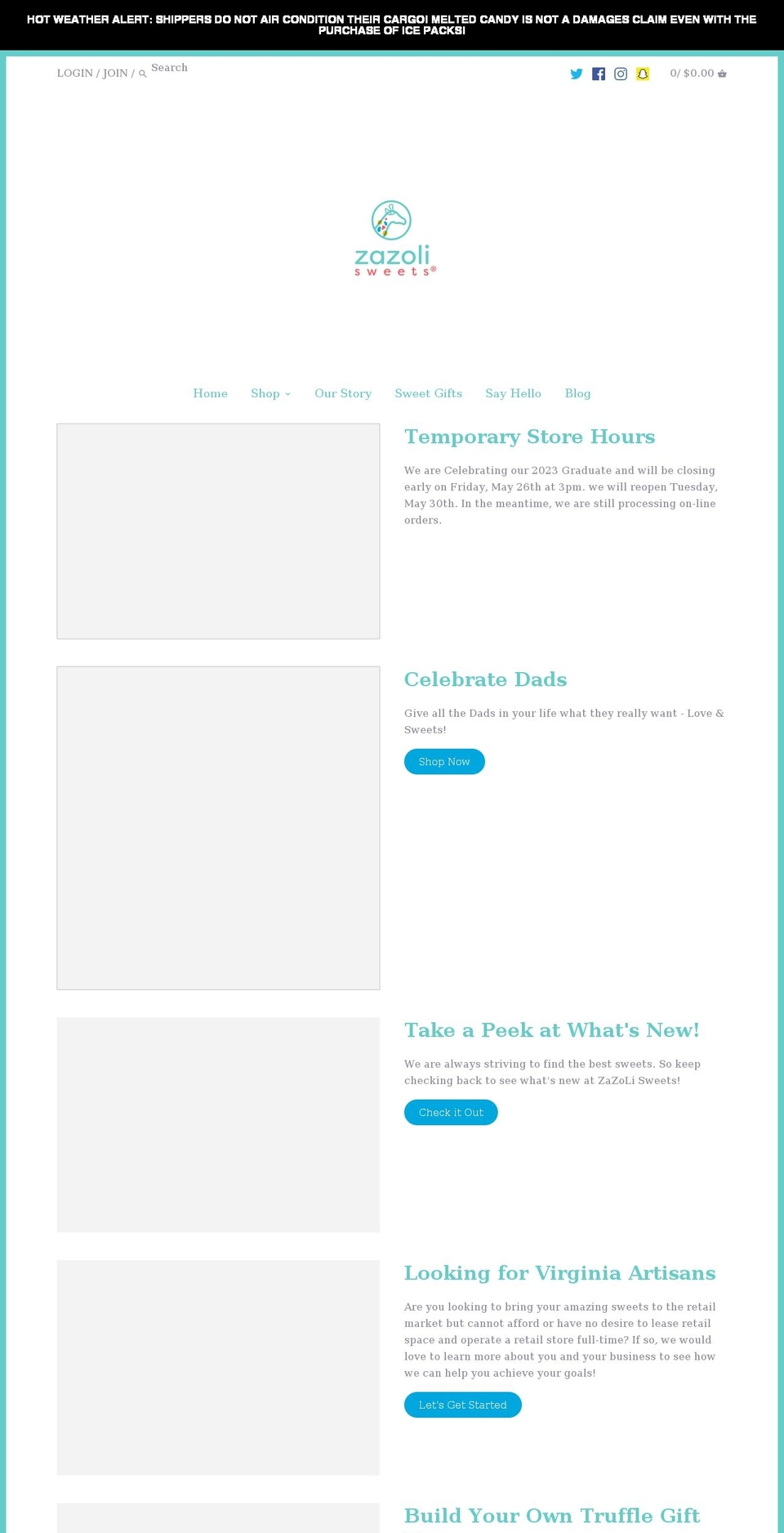 zazoli.com shopify website screenshot