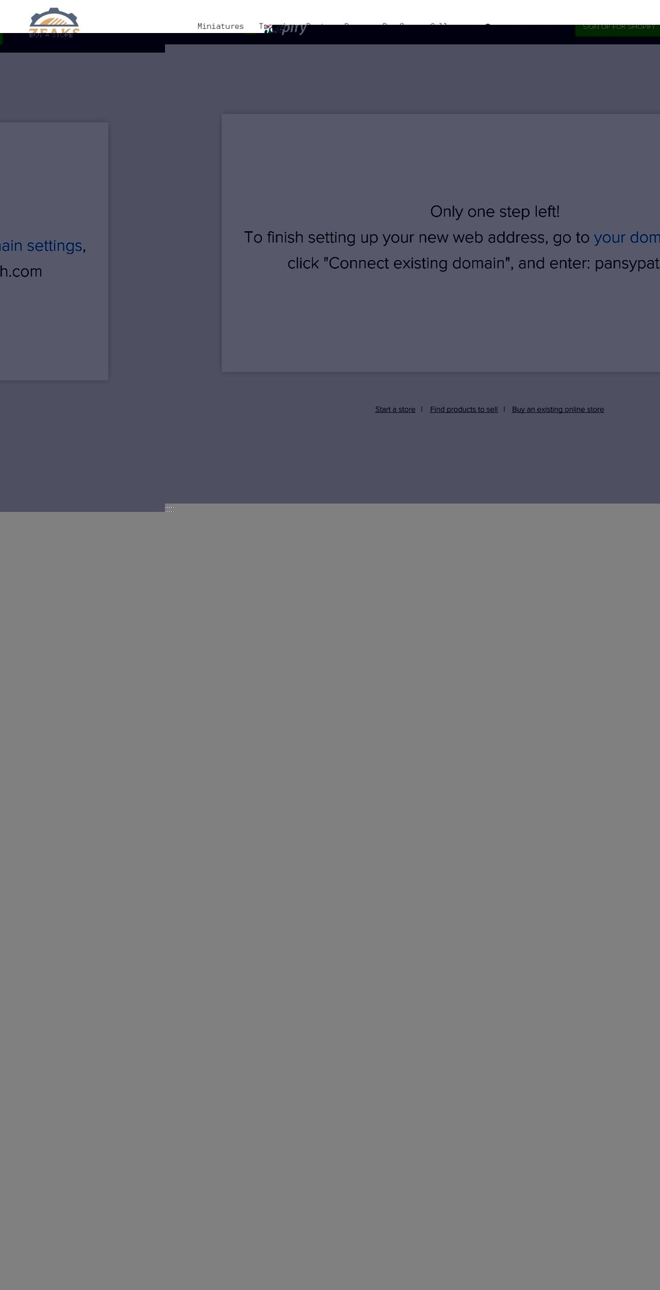 zeaks.co.uk shopify website screenshot