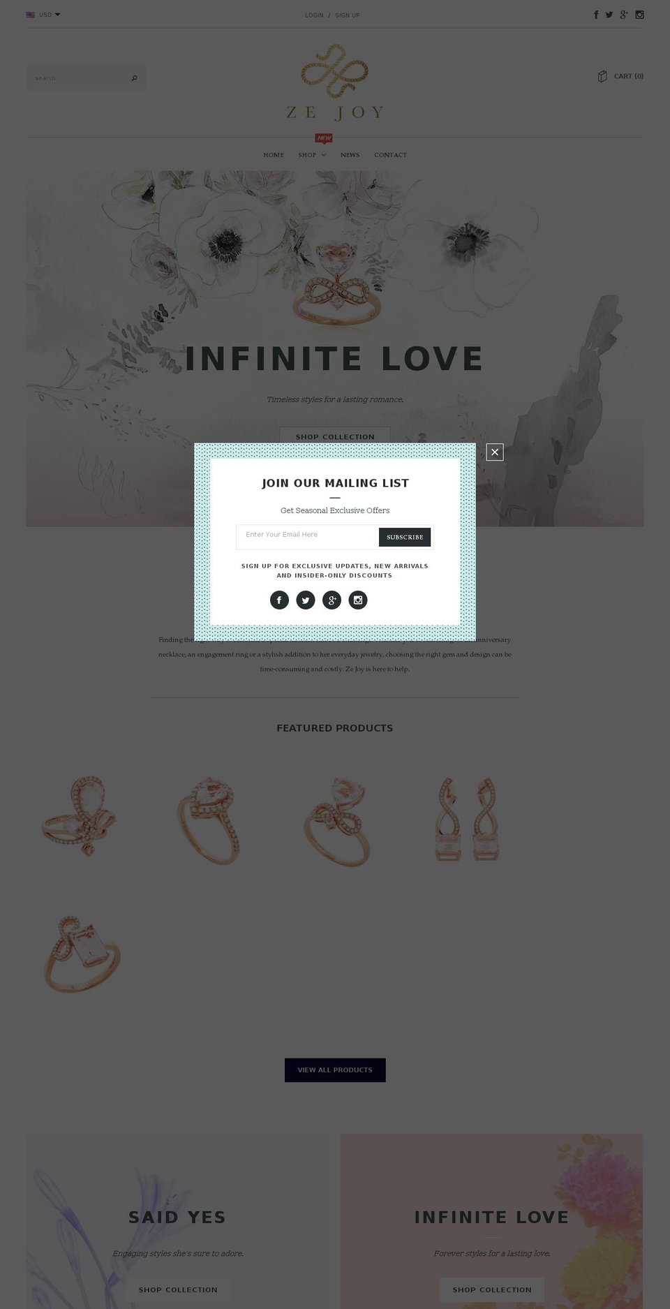 zejoy.com — Shopify storefront screenshot