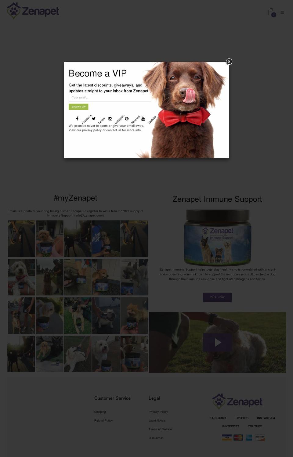 zenapet.com shopify website screenshot