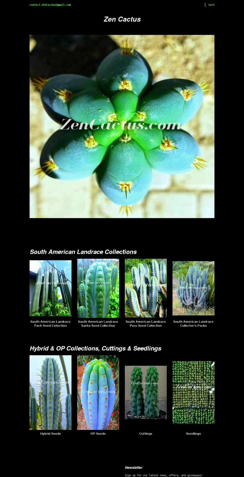 zencactus.com shopify website screenshot