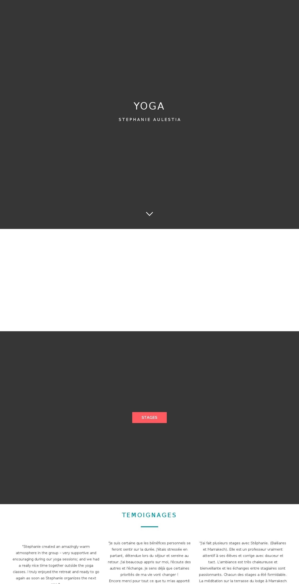 zenenergy.net shopify website screenshot