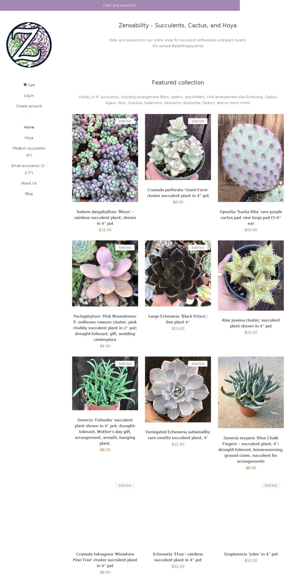 zensability.com shopify website screenshot