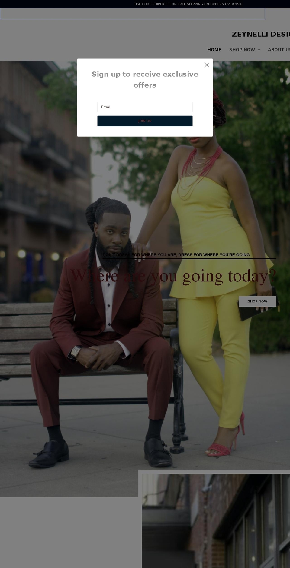 zeynellidesign.com — Shopify storefront screenshot