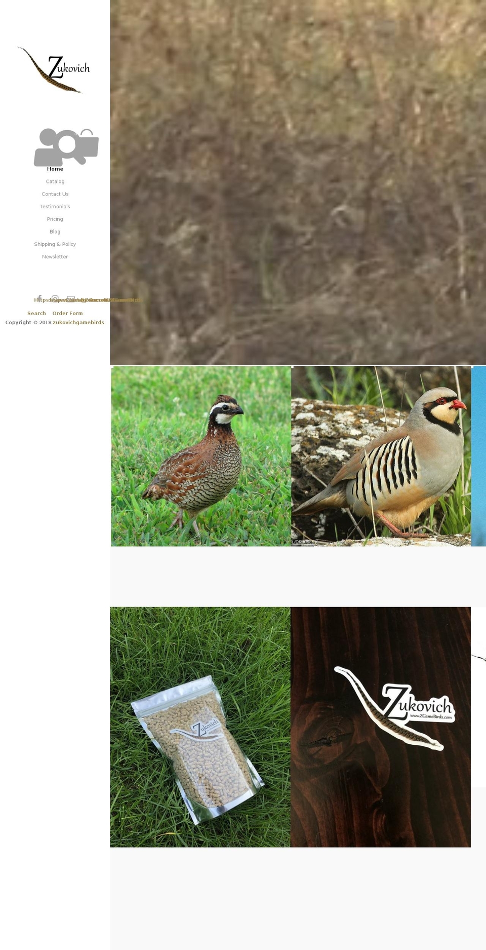 zgamebirds.com shopify website screenshot