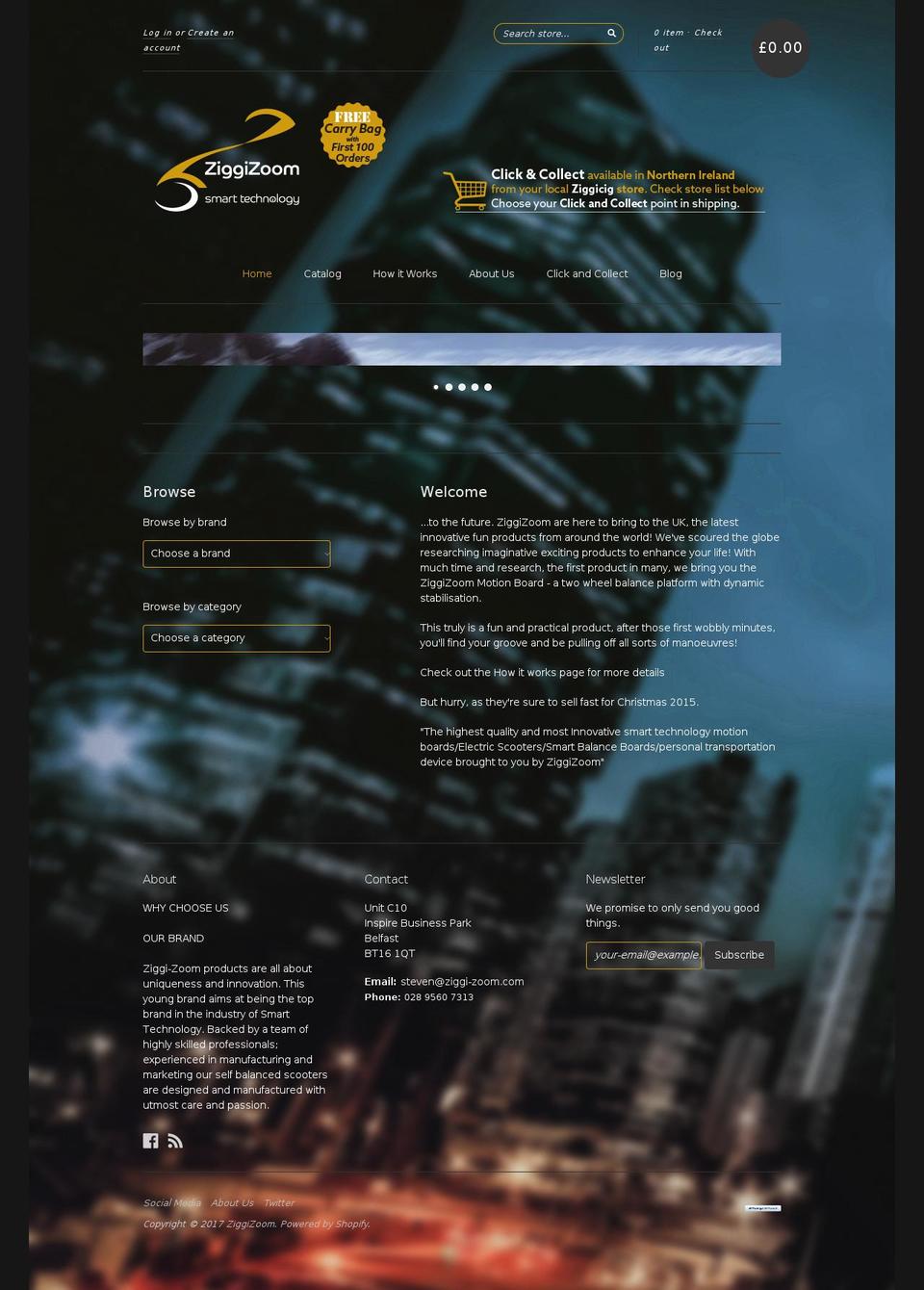 ziggizoom.com shopify website screenshot