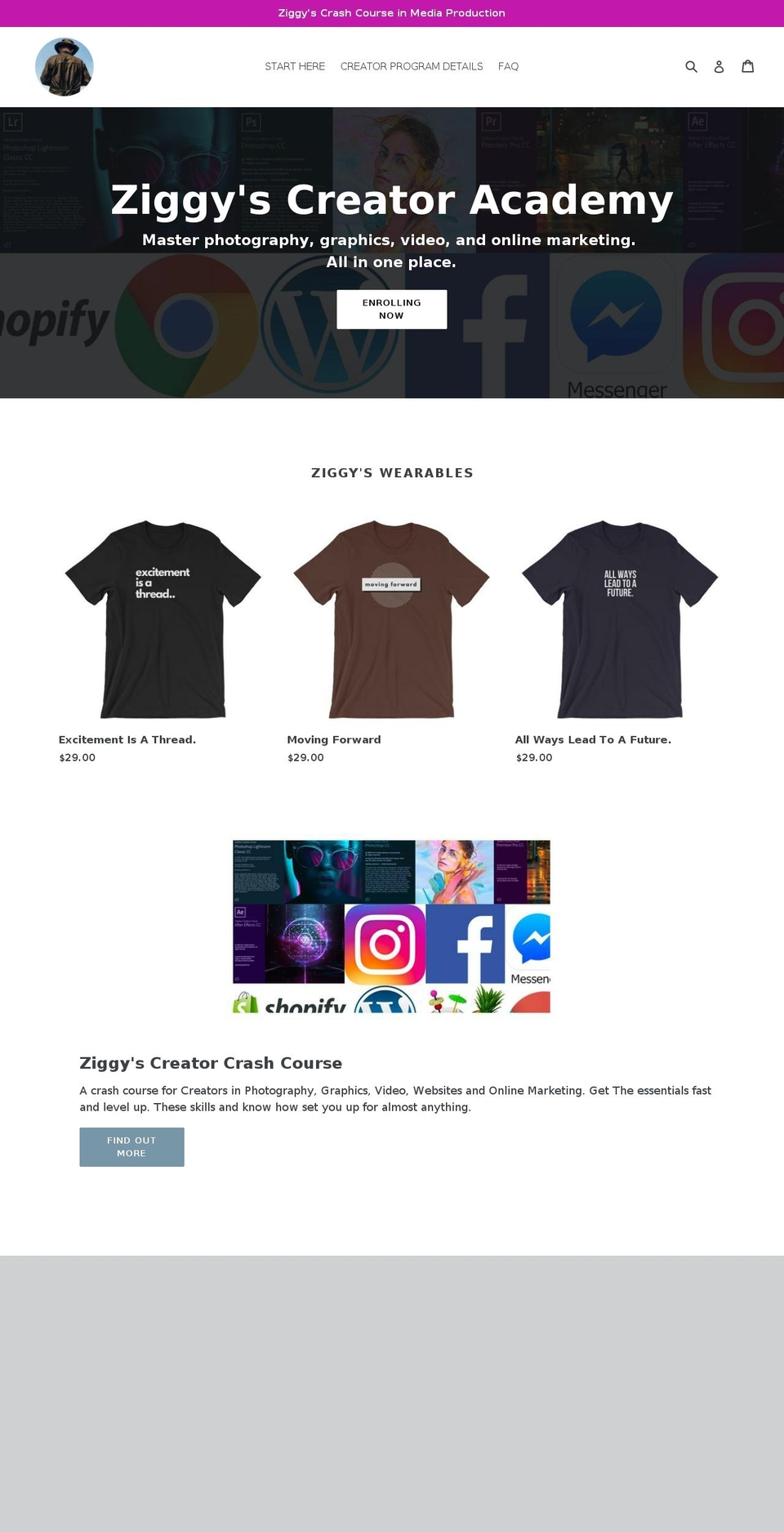 ziggybent.com shopify website screenshot