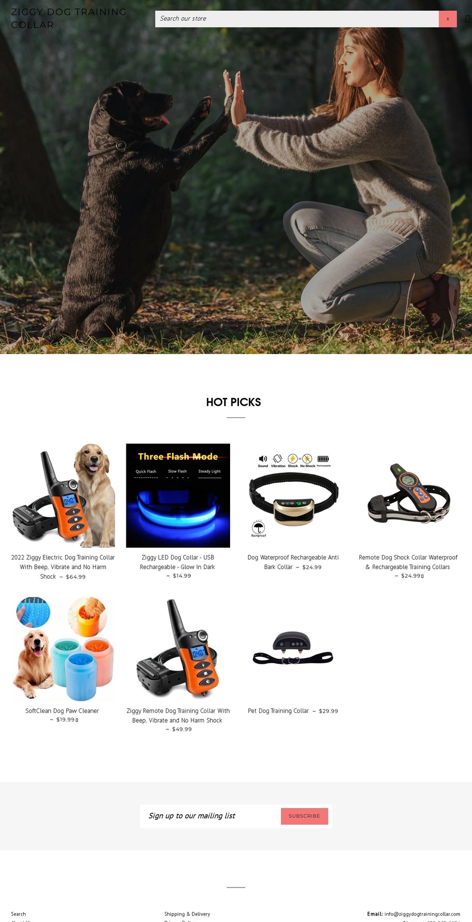 Theme export beach shoe Shopify theme site example ziggydogtrainingcollar.com