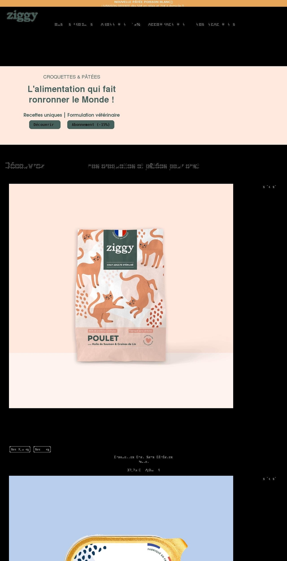ziggyfamily.com shopify website screenshot