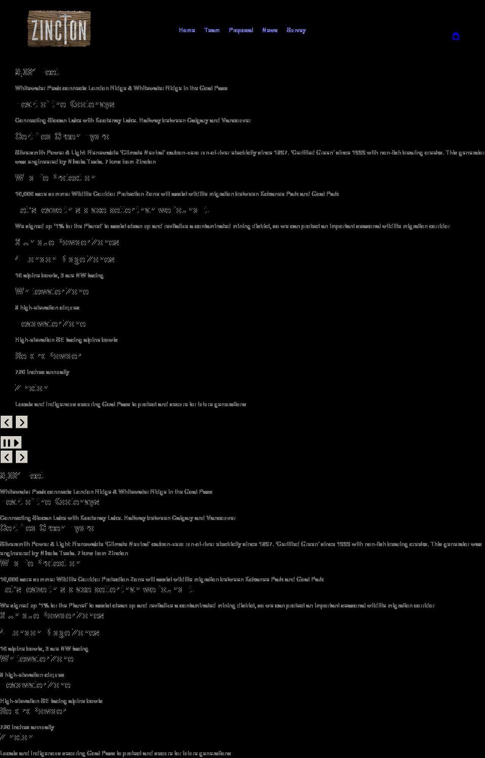 zincton.com shopify website screenshot