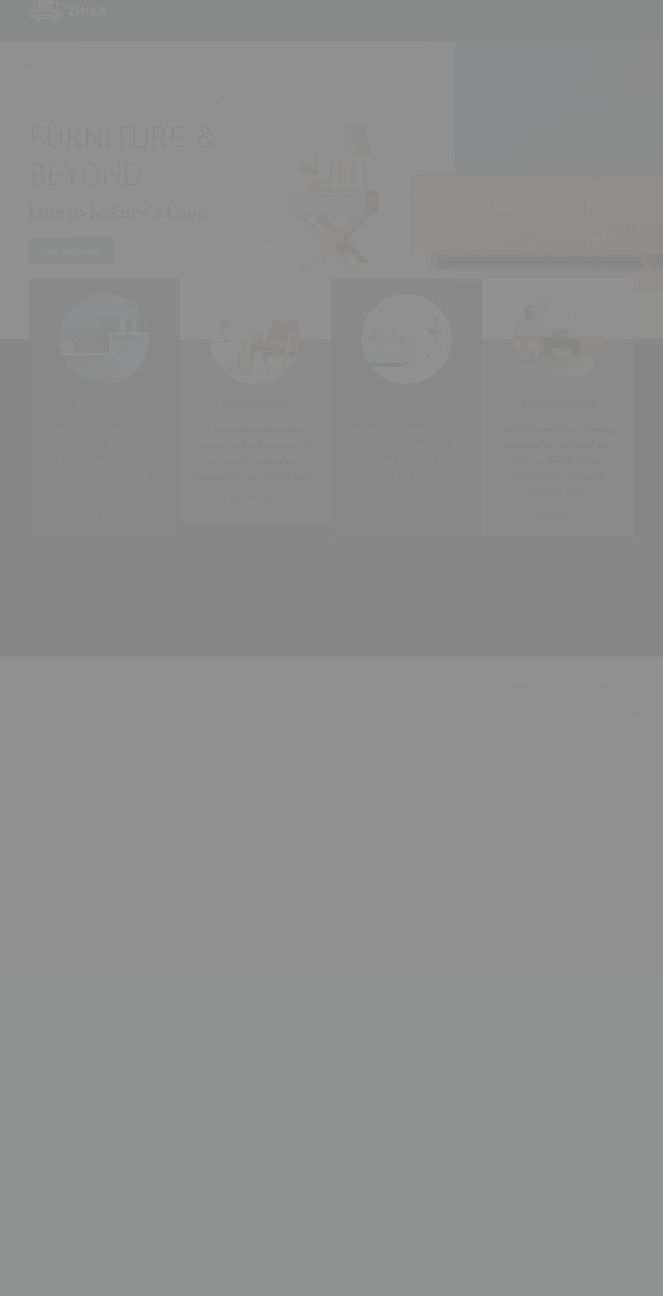 zinga-demo.myshopify.com shopify website screenshot