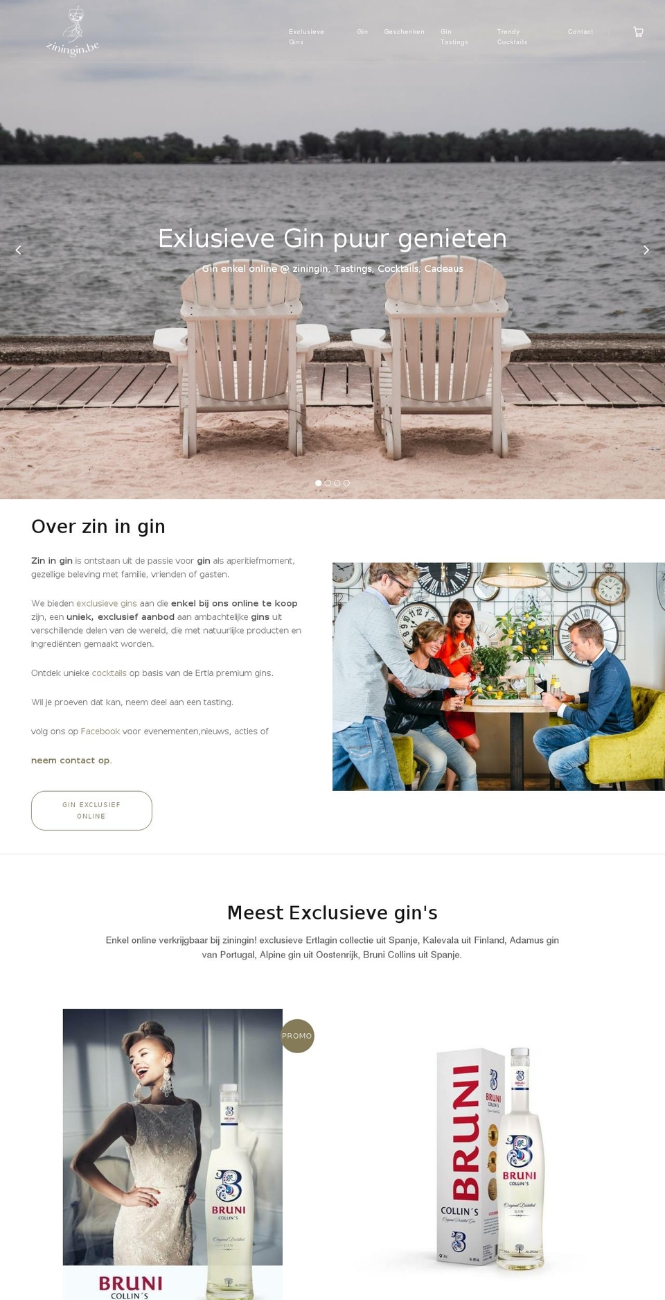 ziningin.com — Shopify storefront screenshot