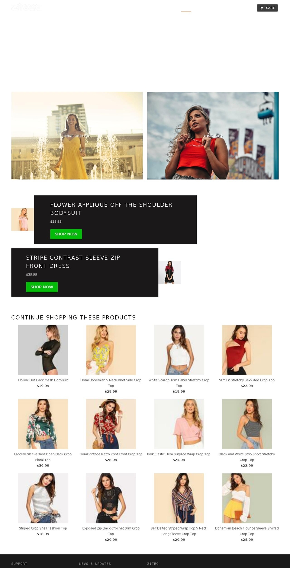 ziteg.com shopify website screenshot
