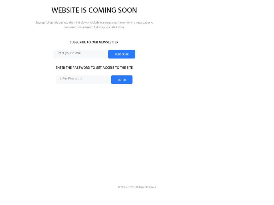 zized.com shopify website screenshot