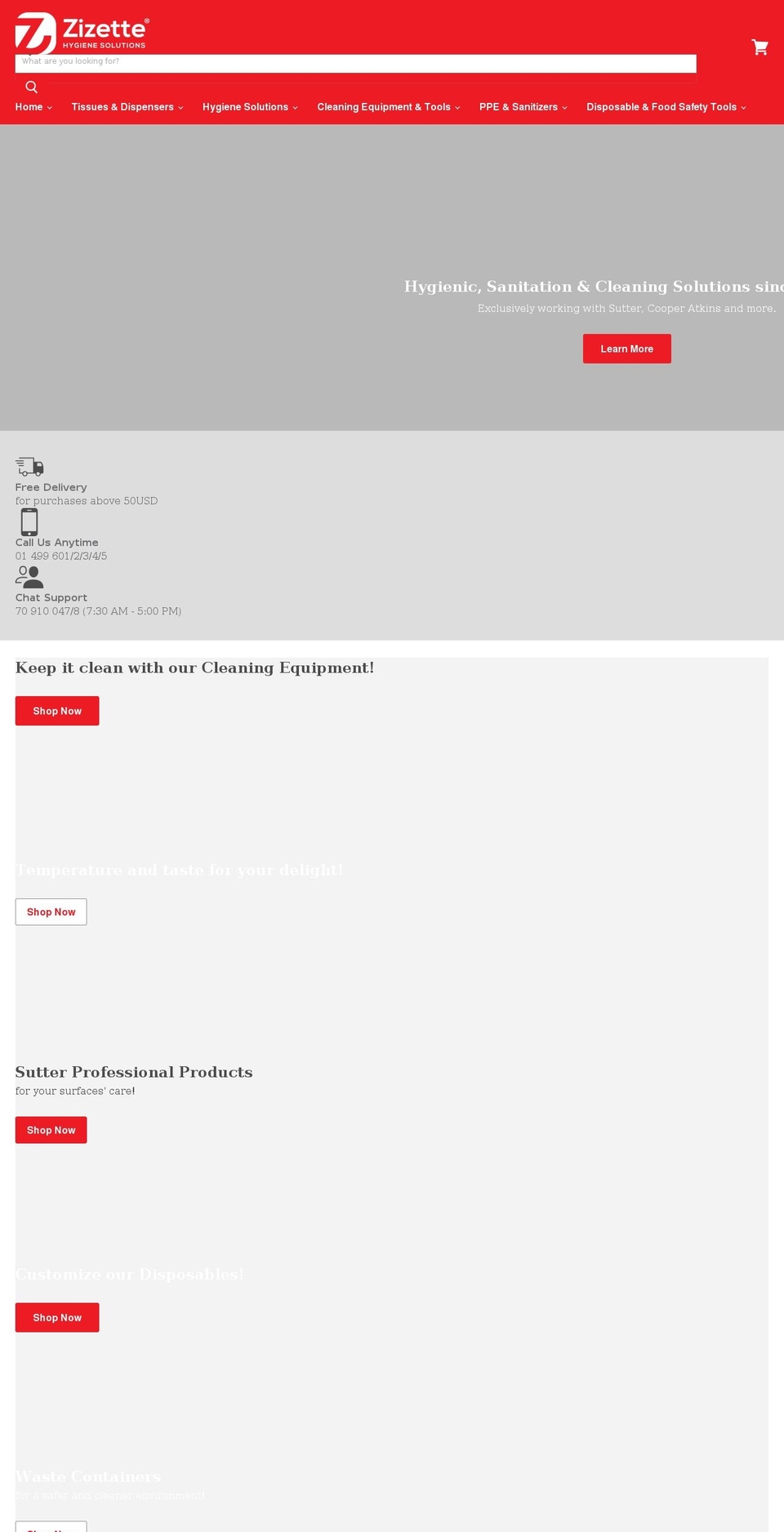 zizette.com shopify website screenshot
